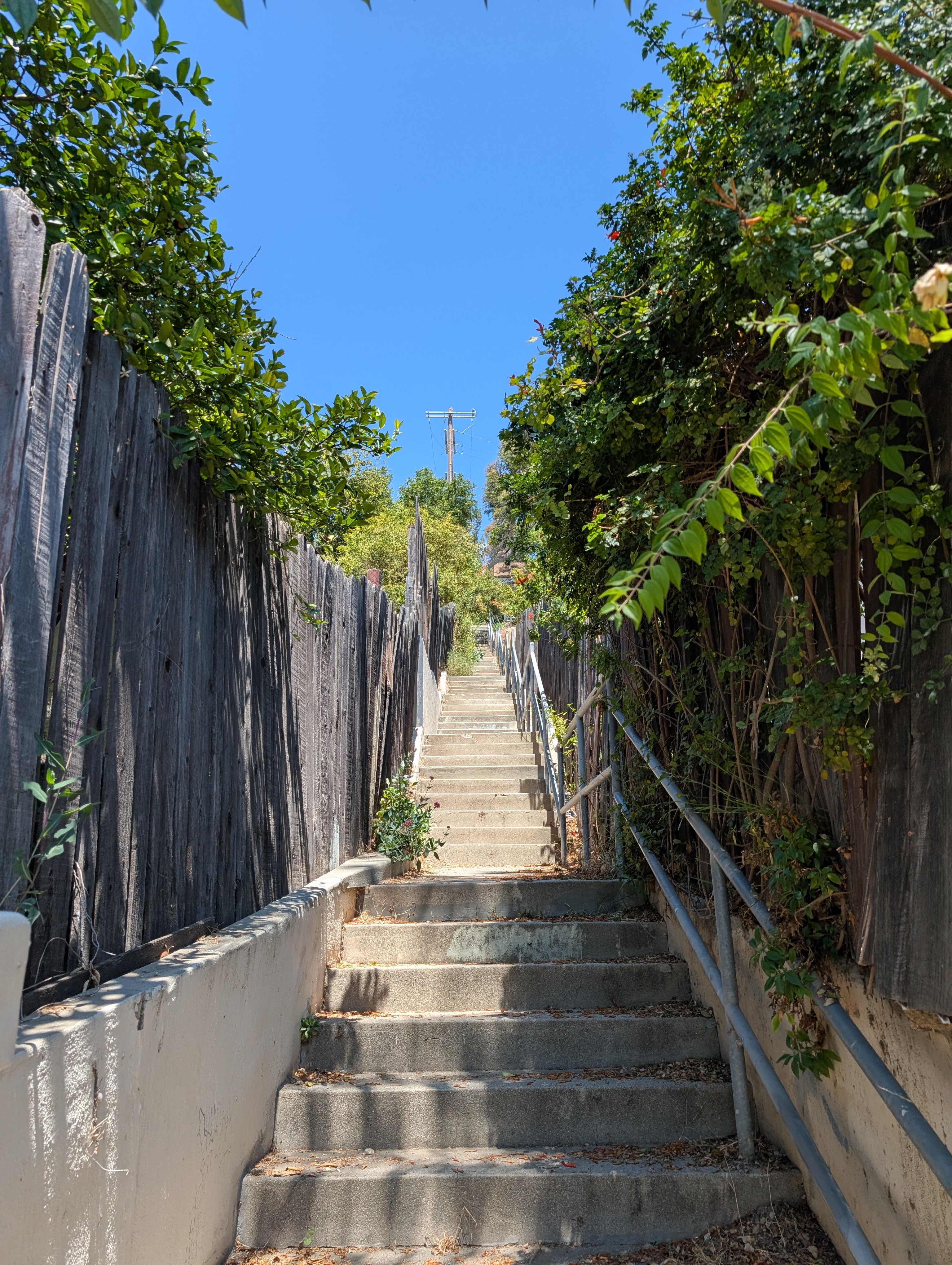 One of the secret staircases hidden in the Eastside hills